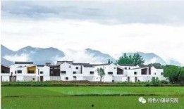 王庄爆料二虎是谁呀最新消息,二虎最新动向揭秘，热点事件追踪