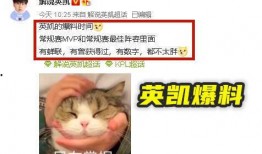 英凯最新爆料,揭秘娱乐圈惊人内幕