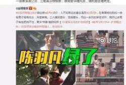 武汉出轨爆料案件最新,真相与舆论漩涡的较量