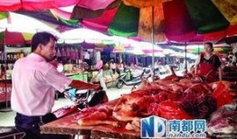 广西玉林餐饮最新爆料,揭秘广西美食界的最新热点与趋势