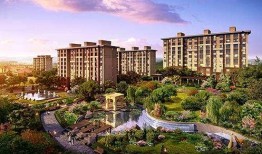 新宇星城爆料最新消息,揭秘神秘项目背后的惊人真相