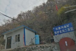 王庄爆料二虎是谁呀最新消息,二虎最新动向揭秘，热点事件追踪