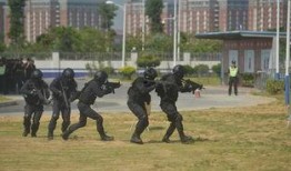 广西公安局最新爆料,揭秘重大案件侦破背后的故事