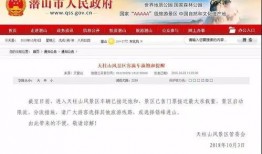 永州舆情爆料最新消息,揭秘事件真相，关注民生动态