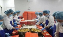 配餐爆料视频大全最新版,美食诱惑与营养均衡的完美融合