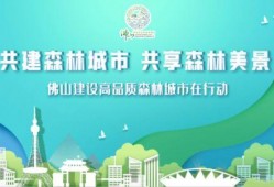 佛山爆料新闻网最新消息,重大事件引发社会关注！