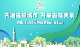佛山爆料新闻网最新消息,重大事件引发社会关注！