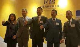 飞鹤最新爆料新闻消息是真的吗