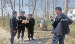 豫东周兵最新爆料,揭秘神秘事件背后真相