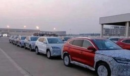 海狮05ev最新爆料,揭秘最新爆料背后的技术革新与市场前景