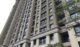 都市花园爆料最新消息新闻,揭秘神秘事件背后的真相