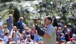 自在飞最新动态爆料,揭秘神秘项目，引领行业新风向