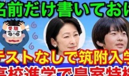 爆料盈公主最新,揭开神秘面纱，探寻她的传奇人生