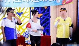 柳岩最新爆料视频,揭秘娱乐圈不为人知的秘密