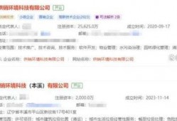 二八最新爆料,揭秘行业巨头背后的惊人内幕
